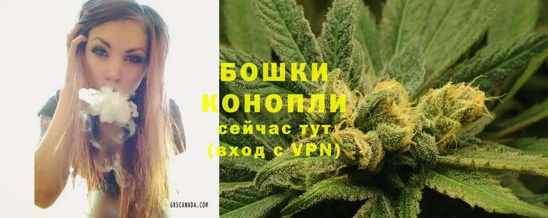 сколько стоит  Чишмы  Конопля план 